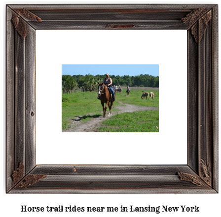 horse trail rides near me in Lansing, New York